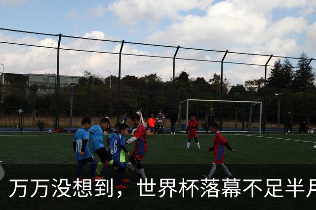万万没想到，世界杯落幕不足半月，41岁C罗就宣布另一大好消息